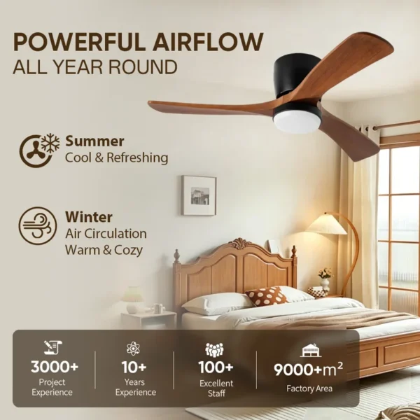 Ceiling Fan, USA, W2352P154689 - view 2