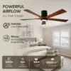 Ceiling Fan, USA, W2352P373468, Motor 10 years - view 2