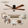 Ceiling Fan, USA, W2352P373468, Motor 10 years - view 3
