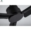 Ceiling Fan, ZS-60-23014BK, Copper, 220v - view 4