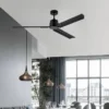 Ceiling Fan, ZS-60-23014BK, Copper, 220v - view 6