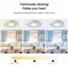 Ceiling Fans, 120W(0.16hp), Metal - view 5