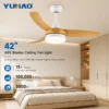 Ceiling Fans, AC120/220, Copper, BLDC