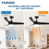 Ceiling Fans, AC120/220, Copper, BLDC - view 3