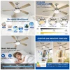 Ceiling Fans, Iron + ABS Blades, FSD8500 - view 3