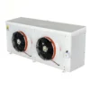 Ceiling Mount Double Fan, 380V, R507A - view 4