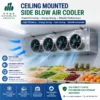 Ceiling Mounted Air Cooler, 330V, Electric