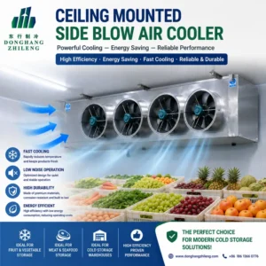 Ceiling Mounted Air Cooler, 330V, Electric