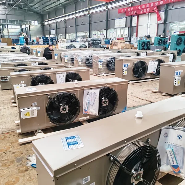 Ceiling Mounted Dual Fan, DD-22.3, CE&ISO9001&ISO14001 - view 4