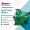 Centrifugal Blower, D112-17ZH, customizable - view 6