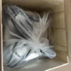 Centrifugal Fan, AFL, 380V, 3000W, 500mm - view 4