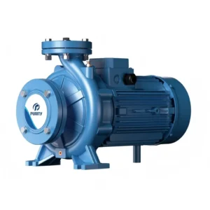 Centrifugal Water Pump, 220V, Monoblock