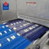 Certification Spiral Quick Freezer, SQUARE, local