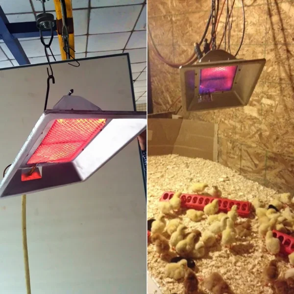 Chicken Gas Brooder Heater, 110, 2.5KW - view 4