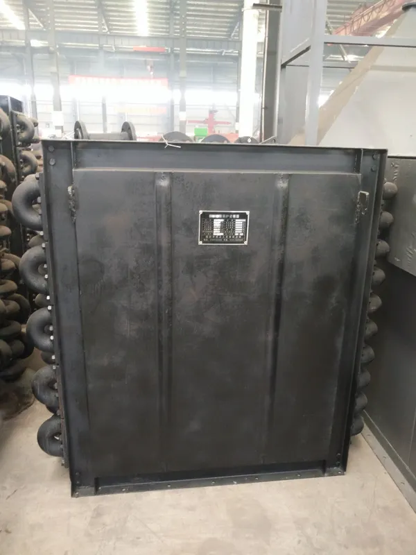 Coal Biomass Boiler, Carbon Steel, economizer - view 4