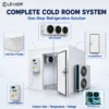 Cold Room and Freezer, 380 V - view 3