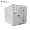 Cold Room Commercial Freezer, 400 V, 5 kW(6.71hp)