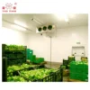 Cold Room Condenser, 200Mt, 380V, 100ton