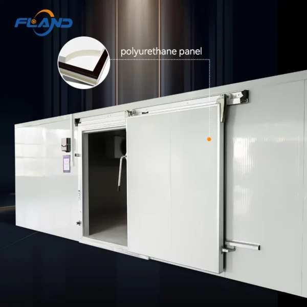 Cold Room Storage, 110v - view 3