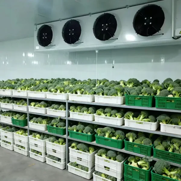 Cold Room Storage, 110v~480v