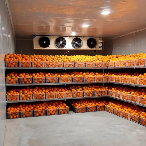 Cold Room Storage, 110v~480v - view 2