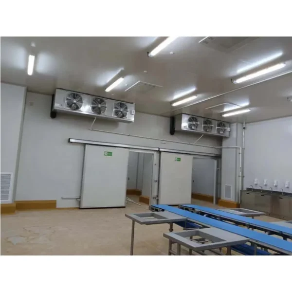 Cold Room Storage, 220, 40 W - view 4