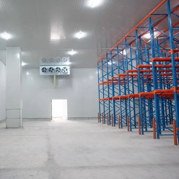 Cold Room Storage, 220 V, R404A