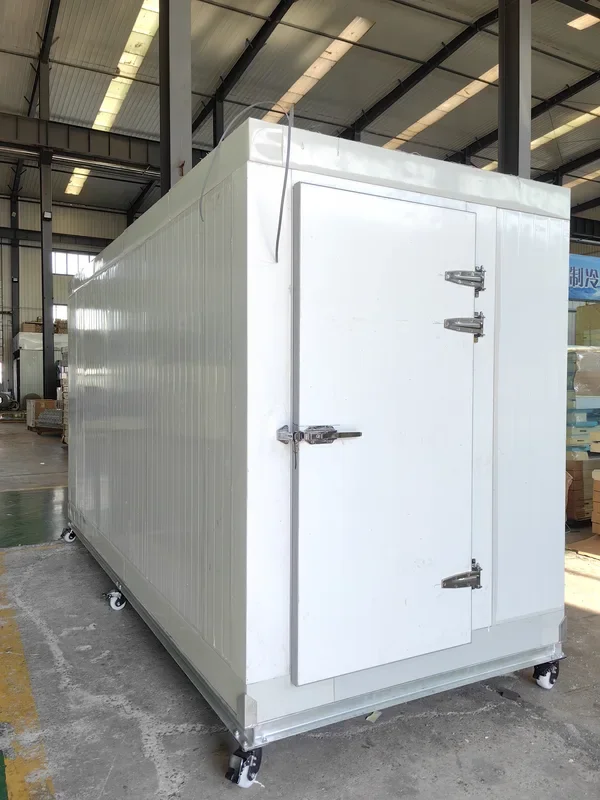 Cold Room Storage, 220V, 10 W