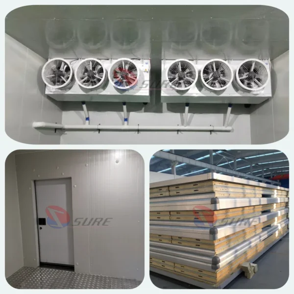 Cold Room Storage, 220v 380v customized, Steel - view 4