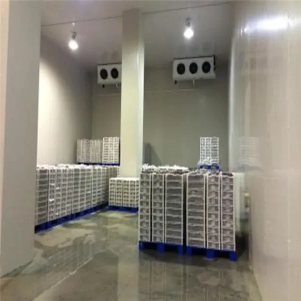 Cold Room Storage, AC 220 V, 500 W - view 6