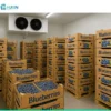 Cold Room Storage, AC 220V~240V, > 1000W - view 2