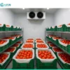 Cold Room Storage, AC 220V~240V, > 1000W - view 4