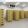 Cold Room Storage, AC 220V~240V, R-410A - view 3