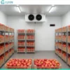 Cold Room Storage, AC 220V~240V, R-410A - view 5
