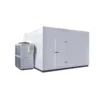 Cold Room Storage, Custom made, 1 Year - view 4
