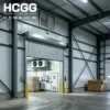 Cold Room Storage, Custom1000-8000sqm, Steel - view 4