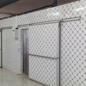 Cold Room Storage, PVC, Cold Storage Door