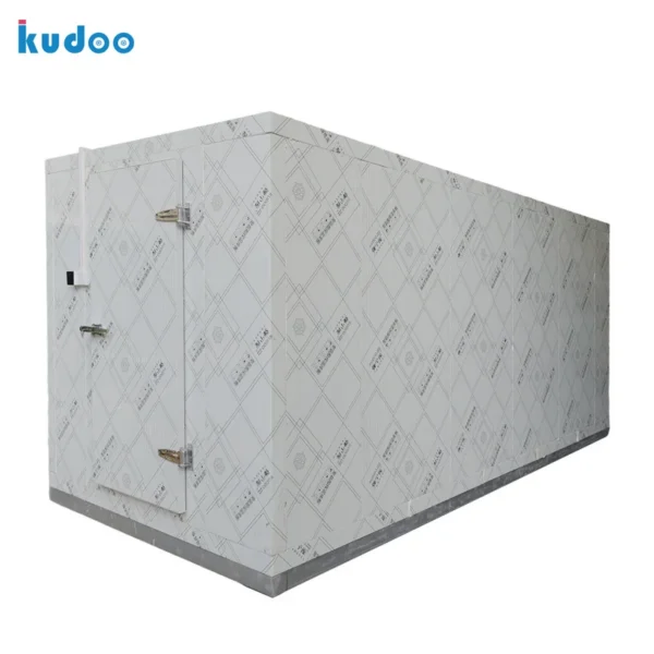 Cold Storage and Freezer, Steel, 220 V, 2000 W