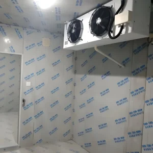 Cold Storage Room Motor, 220V, 55 W