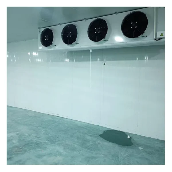 Cold Storage Room Refrigerator, 20ft, 110V-480V, 750 W - view 2