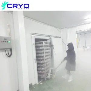 Commercial Deep Freezer, 380V, R22