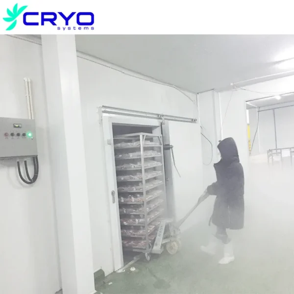Commercial Deep Freezer, 380V, R22