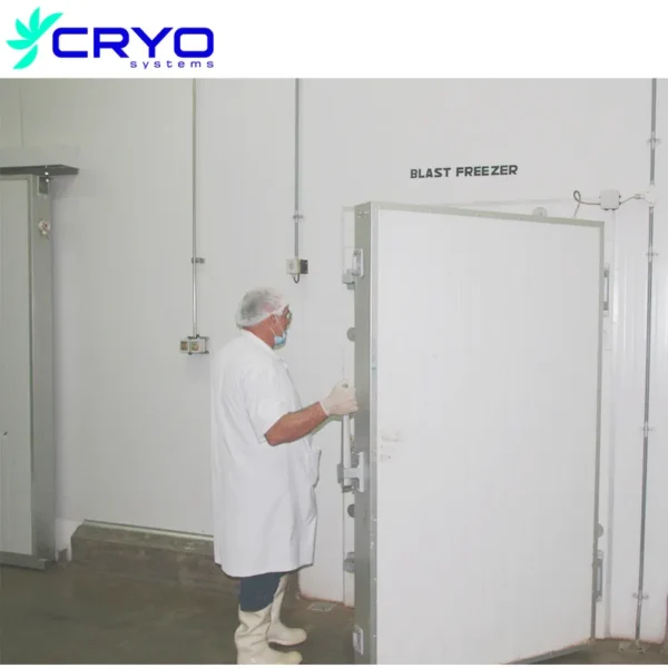 Commercial Deep Freezer, 380V, R22 - view 3