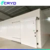 Commercial Deep Freezer, 380V, R22 - view 5