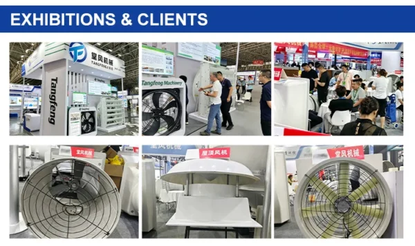 Commercial Frp Exhaust Fan, 220~415V, Electric - view 4