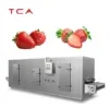 Commercial Iqf Tunnel Freezer, 2.75KW(3.69hp), SUS304 - view 2