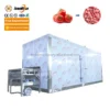 Commercial Iqf Tunnel Freezer, 220V - view 4