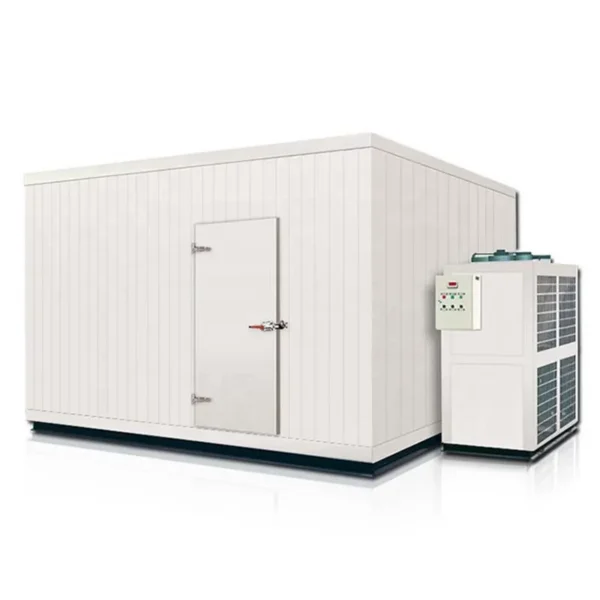 Complete Turnkey Project Freezer, Stainless Steel, R404a - view 2