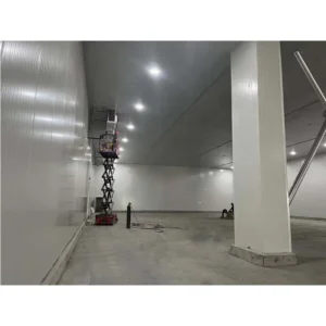Condensing Unit, 220 V, Air cooled