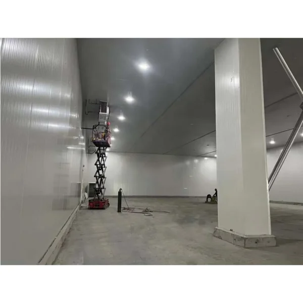 Condensing Unit, 220 V, Air cooled - view 4